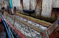 ЗАО Гидрострой